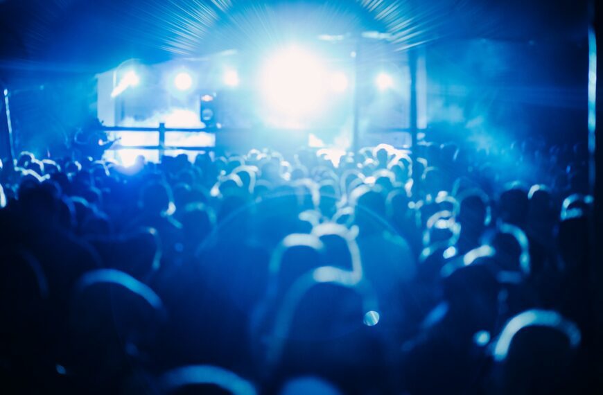 Party crowd at music concert