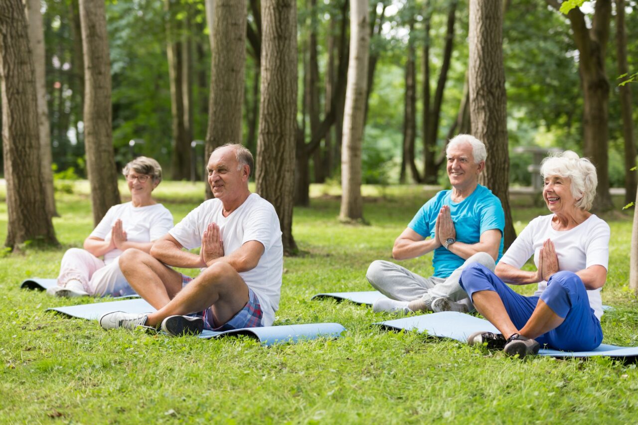 Seniors working out in a park