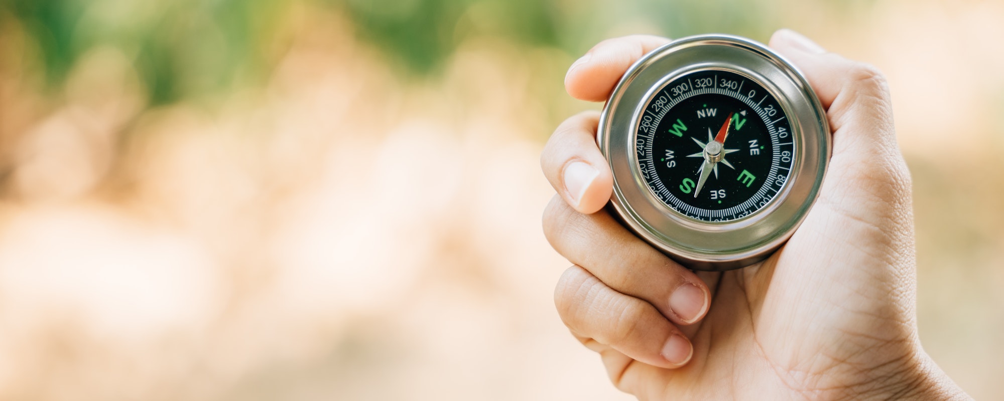 A traveler hand cradles a compass in a park symbolizing the quest for direction and guidance. Amidst