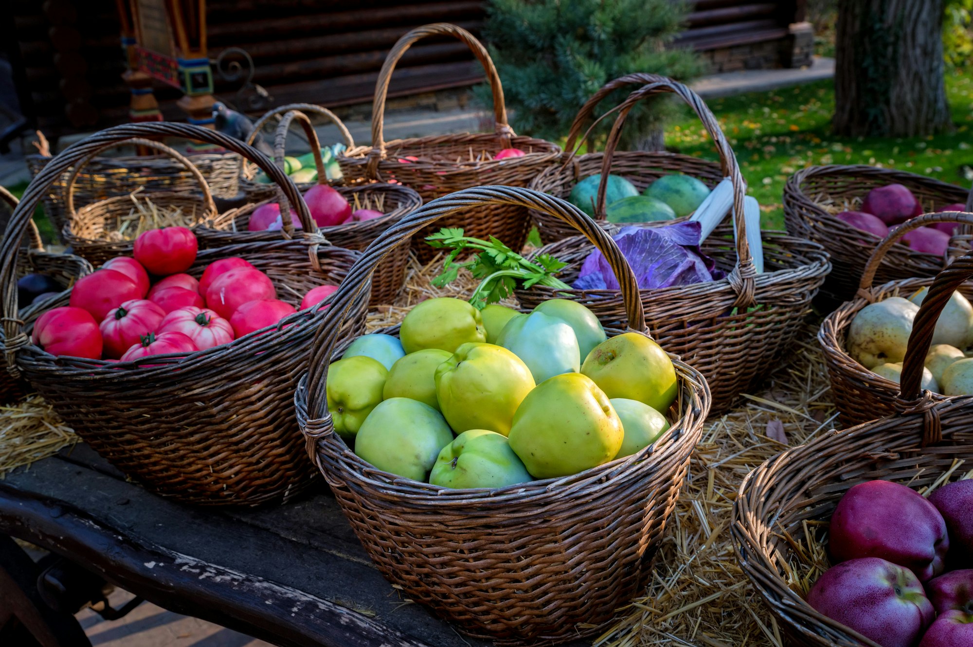 Close up of autumn harvest in wicker baskets on a wooden table