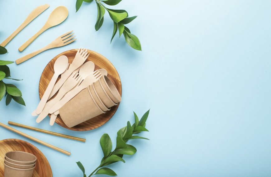 Eco-friendly picnic cutlery tools. Reusable use concept
