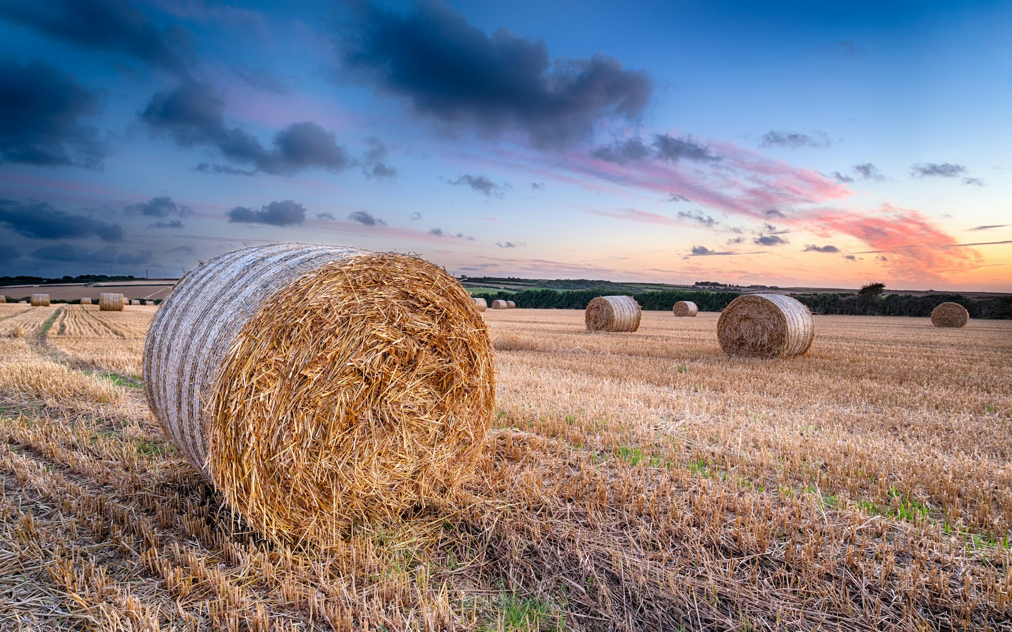 Harvest Sunset