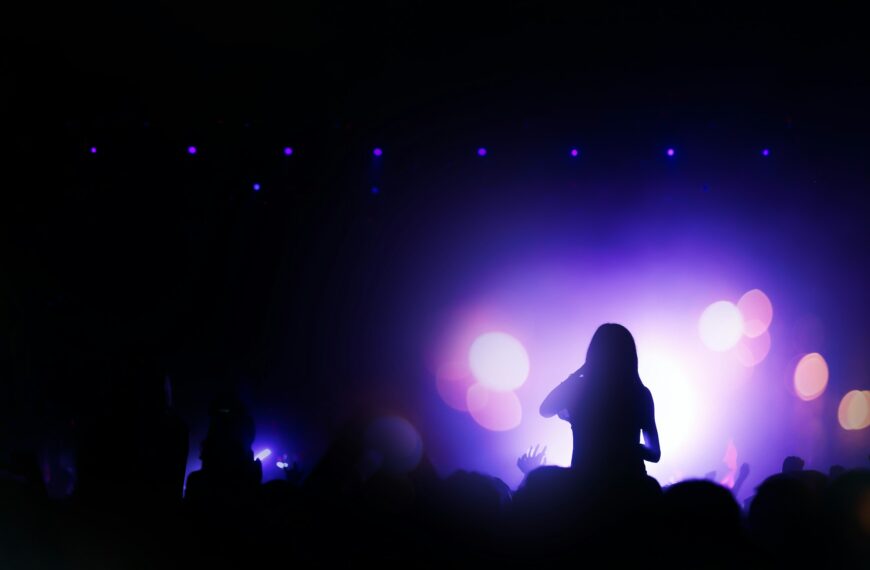 People partying at a concert