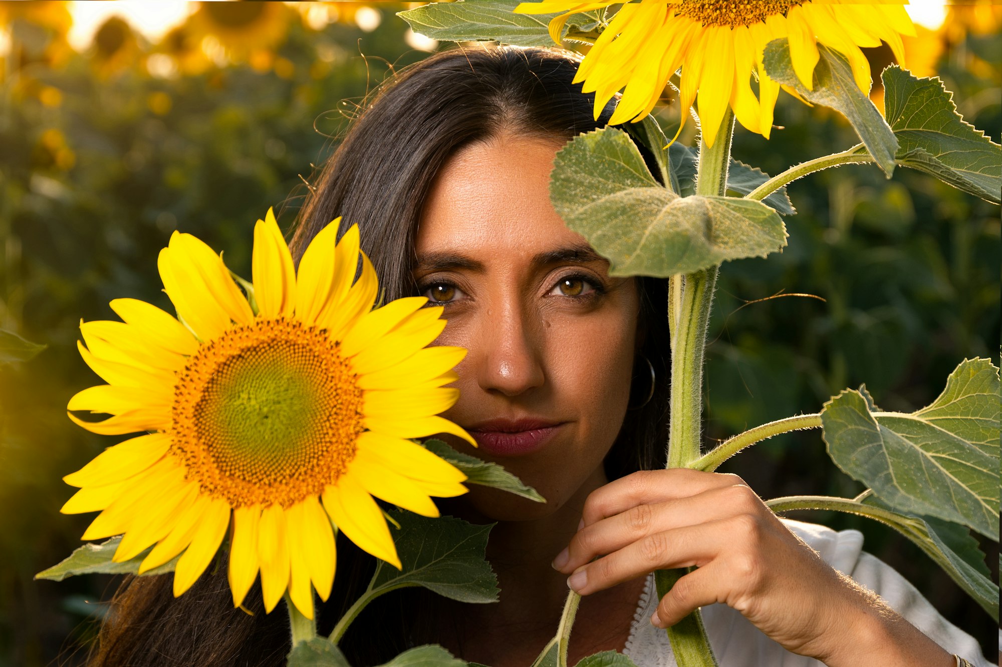 Woman among sunflowers in white dress with face behind sunflower