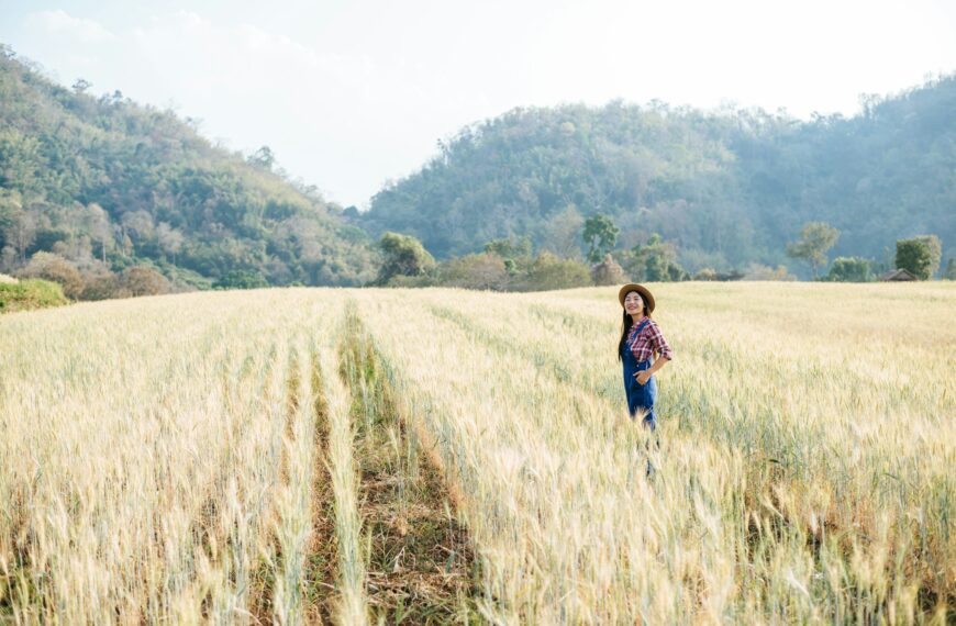 Woman farmer with barley field harvesting season