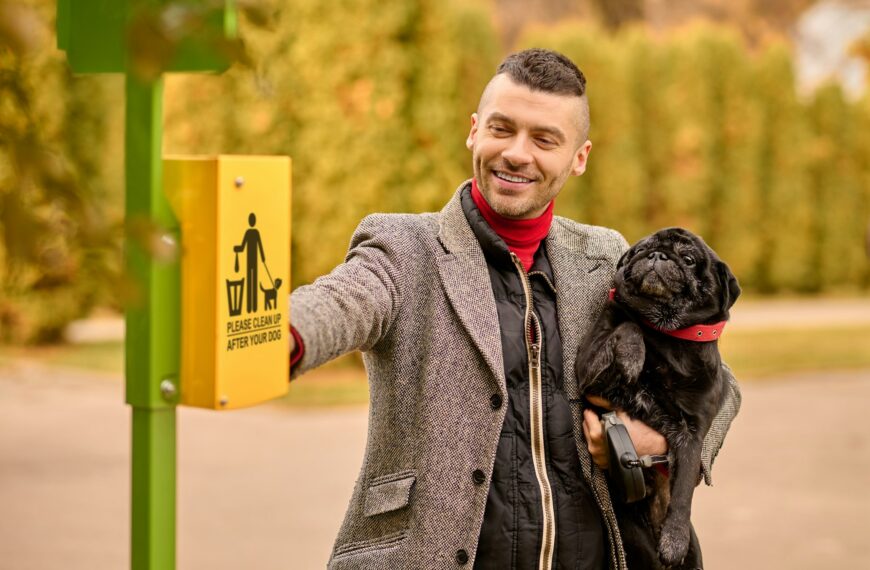 A pet owner taking cleaning stuff from the box