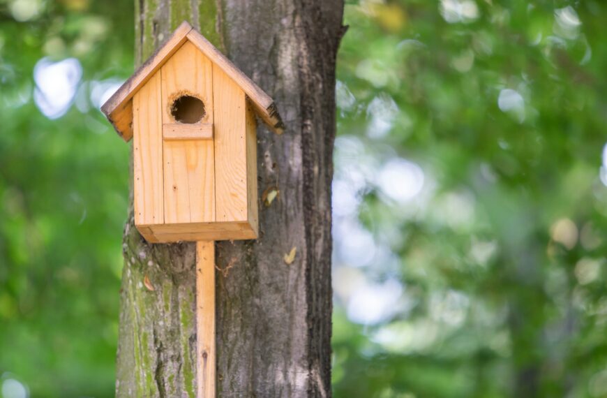 Yellow wooden bird house on a tree trunk in green park outdoors