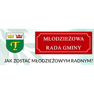 WYBORY DO MŁODZIEŻOWEJ RADY GMINY TERESIN