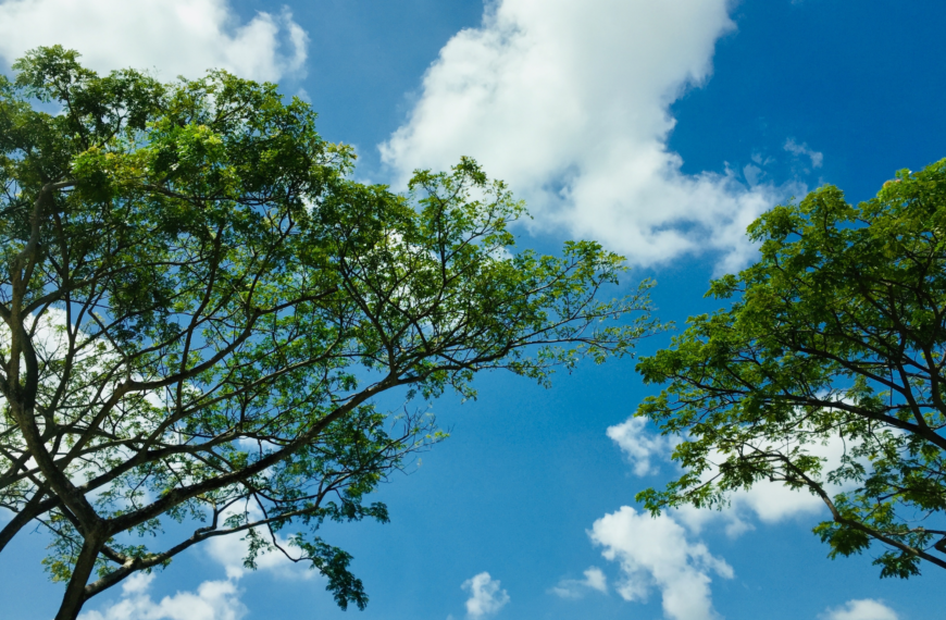 Sprawdzaj firmy podające się za operatorów programu „Czyste Powietrze”