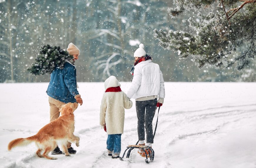 Family preparing for Christmas and New Year holidays