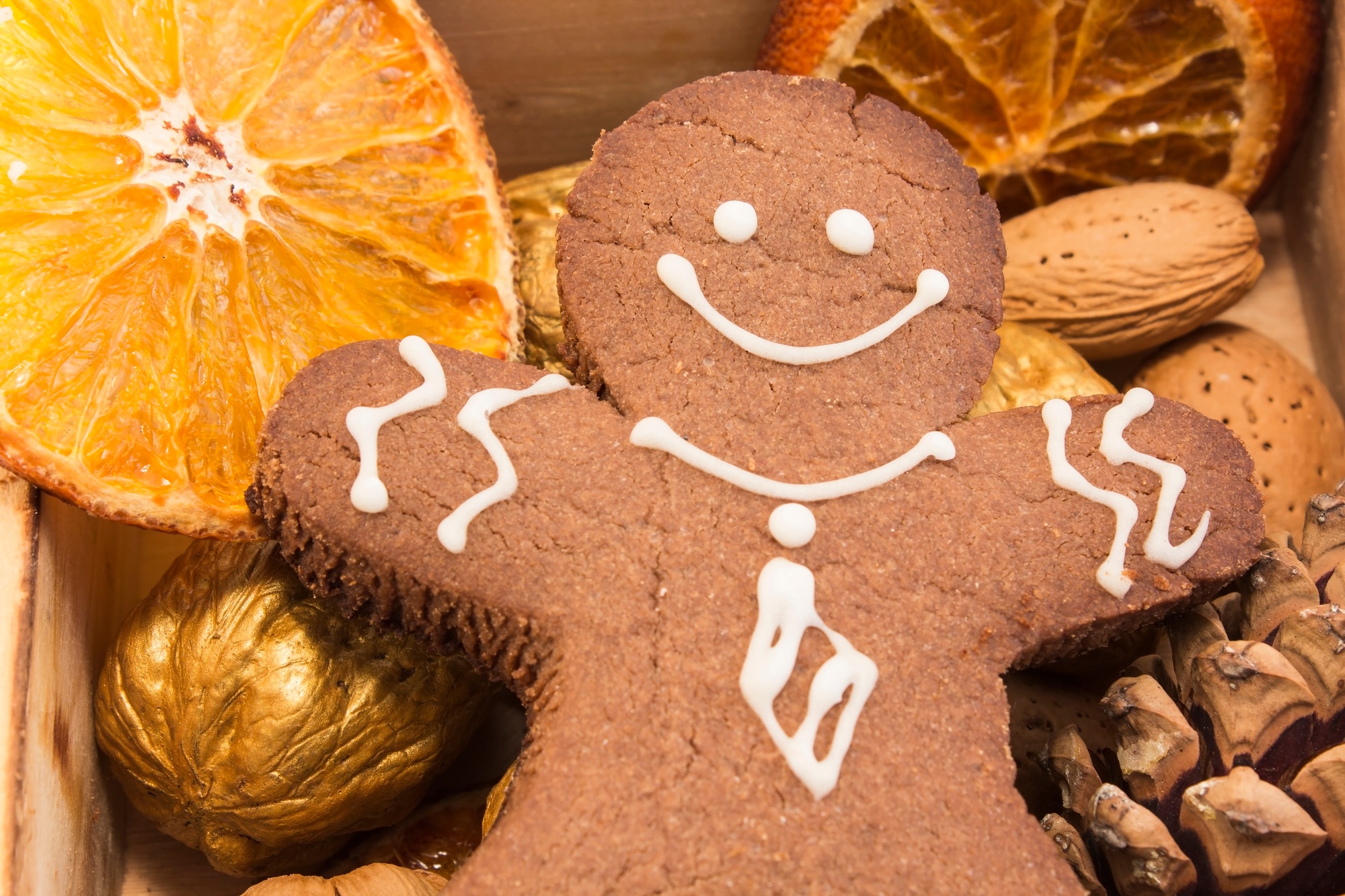 Gingerbread Cookie Man