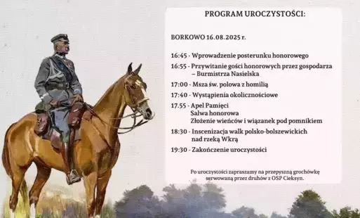 105. rocznica "Bitwy nad Wkrą" w Borkowie