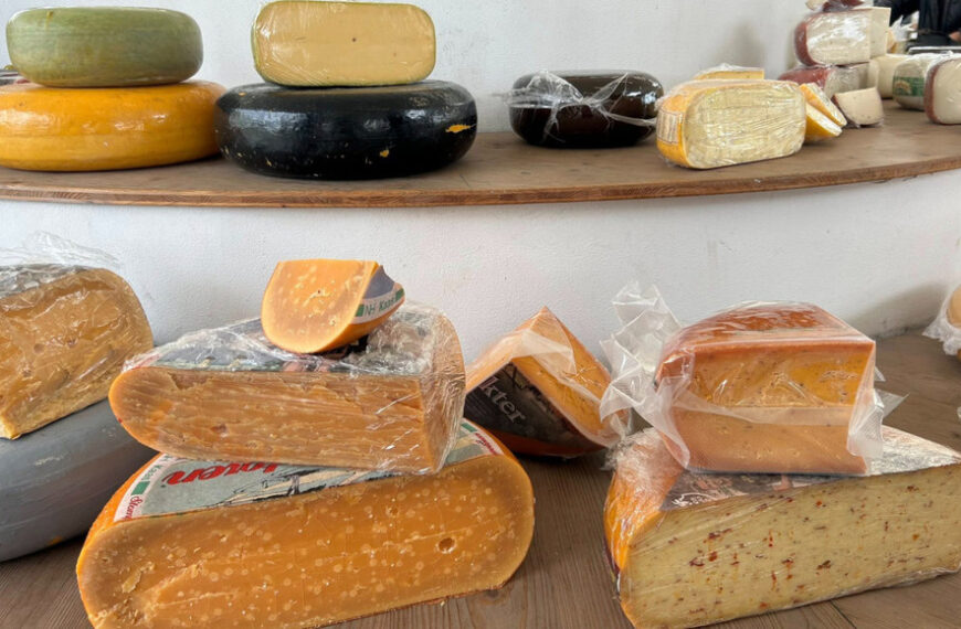 Festiwal Sera i Wina w Błoniu – Ser Jest Ser, Winopasja Błonie: prawdziwa uczta smaków na błońskim targu