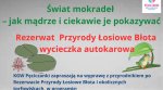 Świat mokradeł – jak mądrze i ciekawie je pokazywać