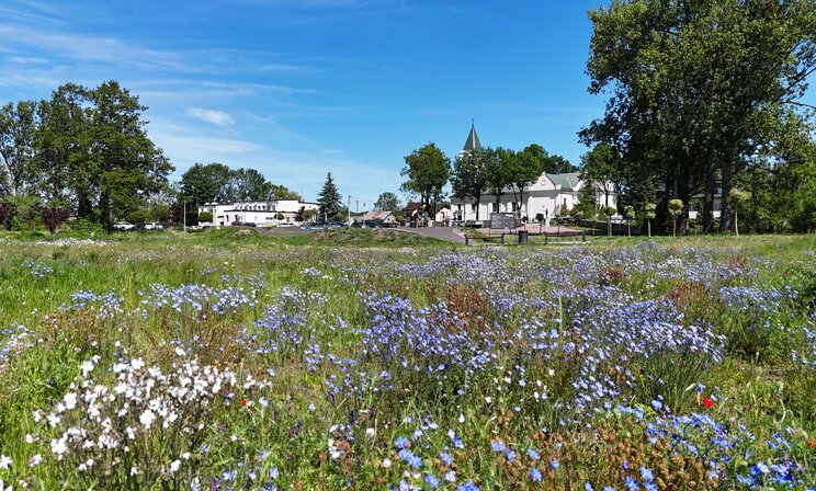 Lato z Meldunkiem w Gminie Klembów!