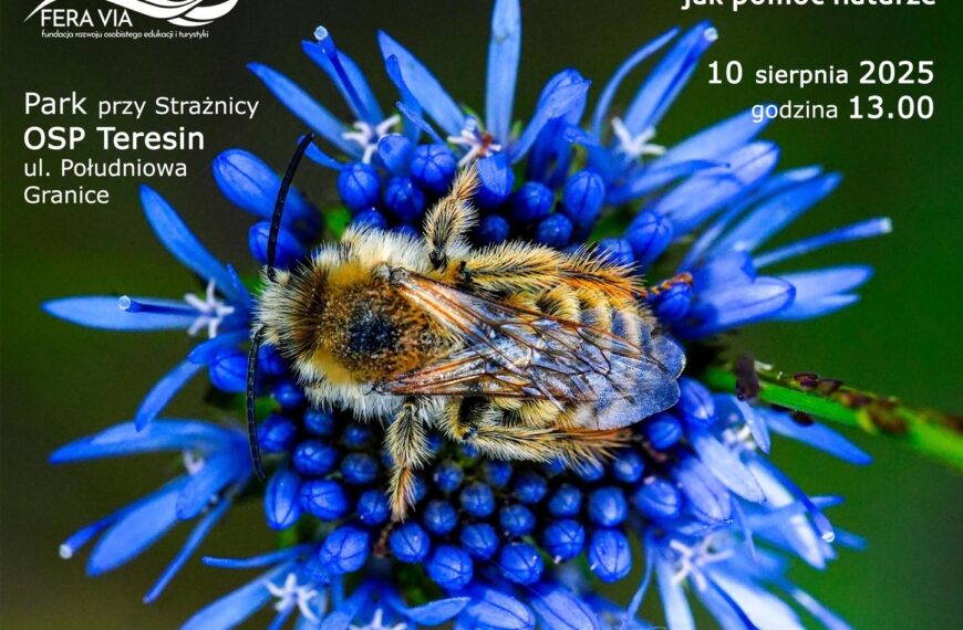 Misja: Zapylacze – jak pomóc naturze