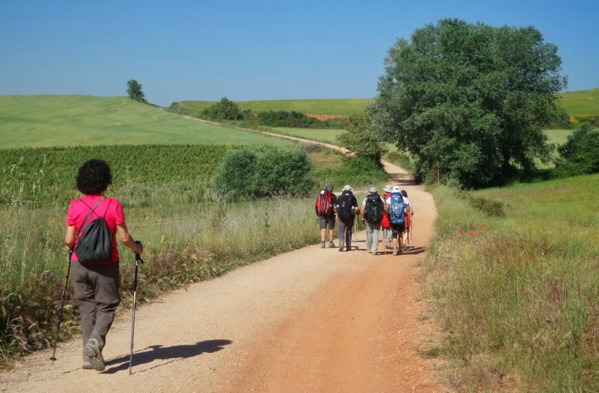 Group of pilgrims walking along the Camino de Santiago in Spain