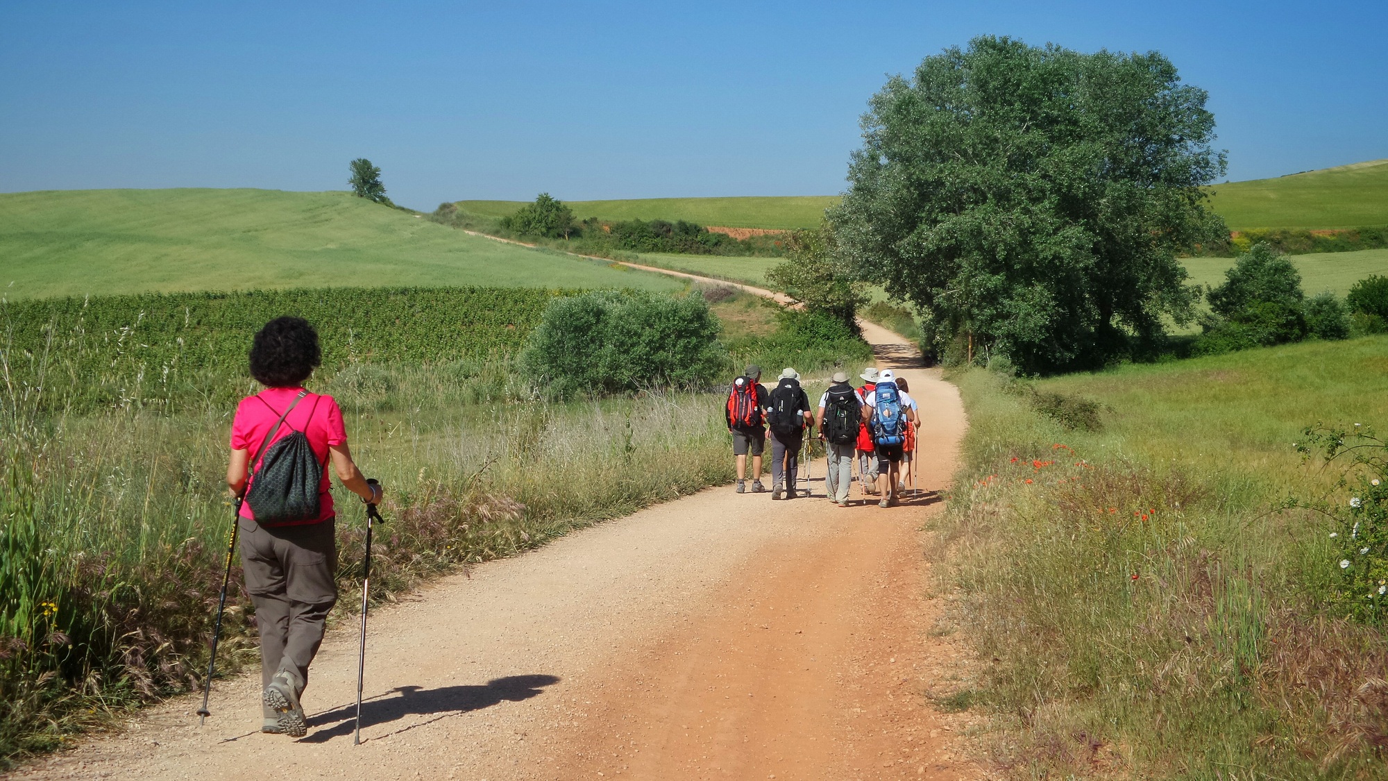 Group of pilgrims walking along the Camino de Santiago in Spain