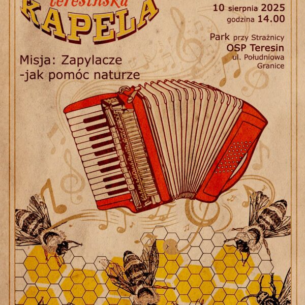 Misja: Zapylacze – jak pomóc naturze?