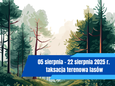 Taksacja terenowa lasów prywatnych w gminie Tarczyn