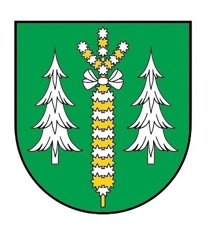 WYBORY UZUPEŁNIAJĄCE SOŁTYSA W SOŁECTWIE ŁĄCZKI