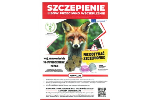 Szczepienie Lisów Przeciwko Wściekiźnie