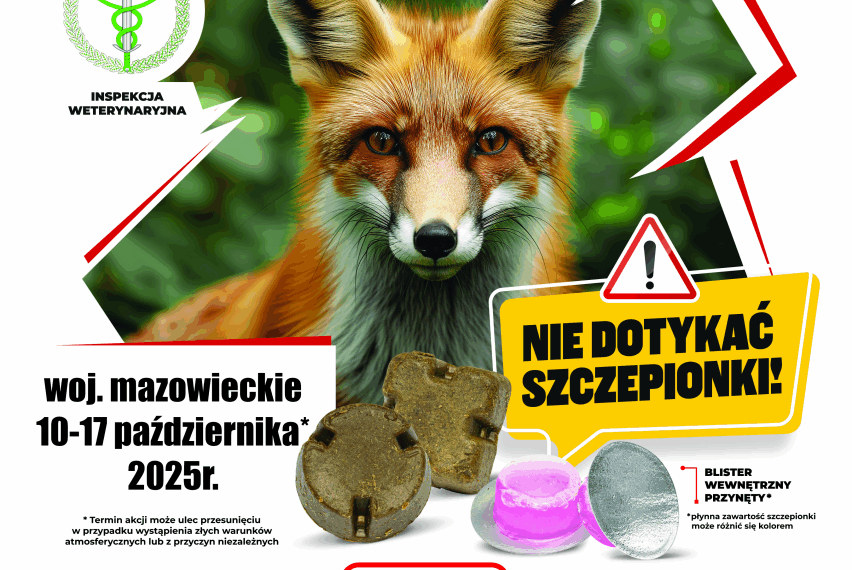 Szczepienie lisów przeciwko wściekliźnie