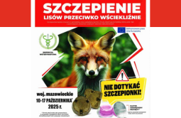 Szczepienie lisów przeciwko wściekliźnie – województwo mazowieckie – 10-17 października 2025 r.