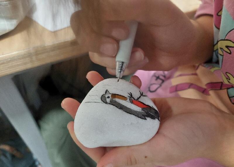 Z lornetką wśród ptaków