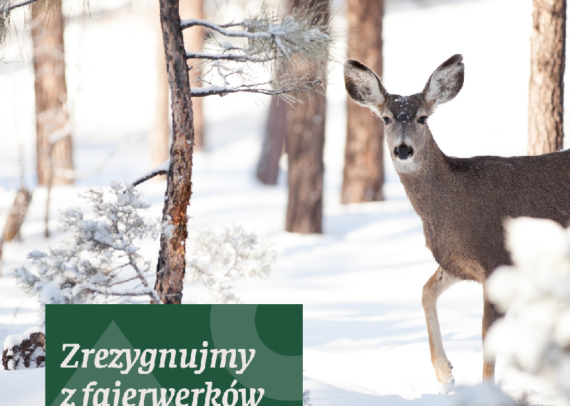 Świętujmy pięknie, ale bez huku