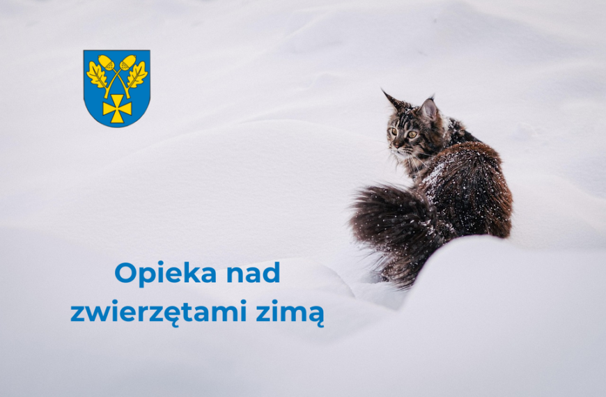 Opieka nad zwierzętami zimą