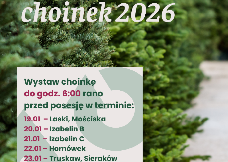 Co zrobić z choinką po świętach?