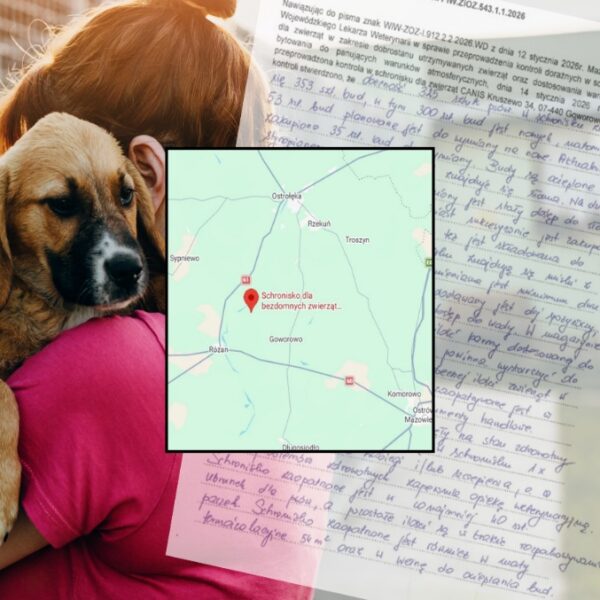 Informacja o wynikach kontroli w schronisku, z którym współpracuje Gmina Czerwin