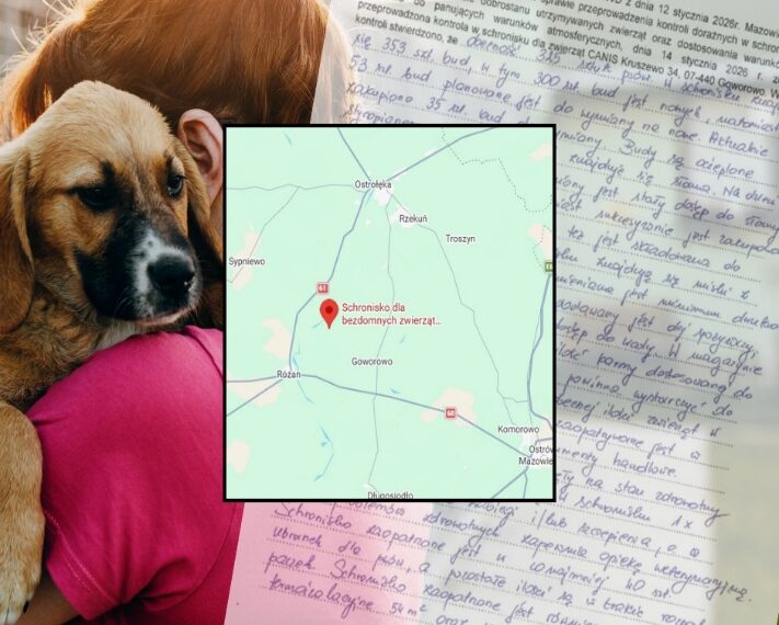 Informacja o wynikach kontroli w schronisku, z którym współpracuje Gmina Czerwin