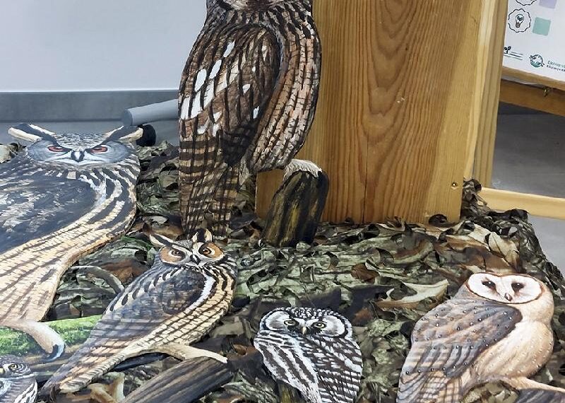 Podglądamy ptaki, poznajemy przyrodę