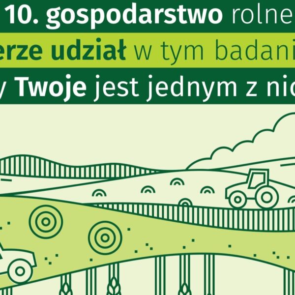 Badanie statystyczne