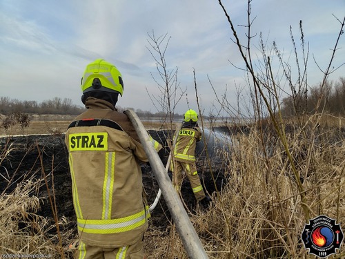 Dzień Strażaka – podziękowania dla Druhien i Druhów