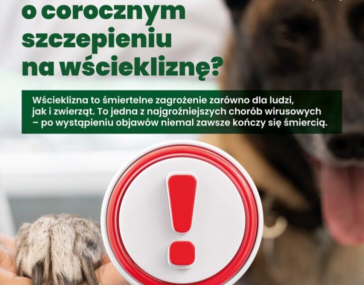 Obowiązkowe szczepienie psów przeciwko wściekliźnie
