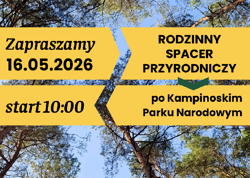 Rodzinny spacer po KPN